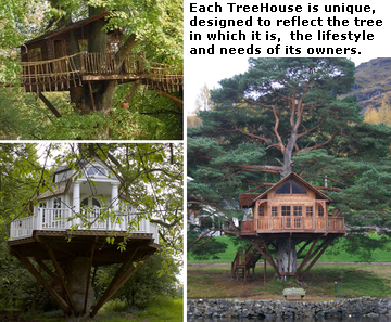 Tree House Communication Unit 9 Listening 1